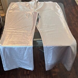 Express Silver Wide Leg Pants